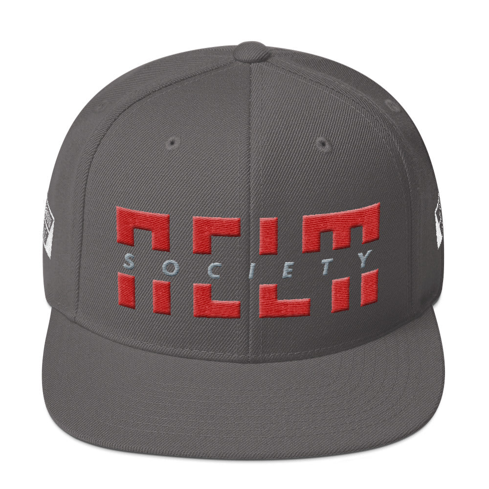 NELM SOCIETY SPLIT I Snapback Hat