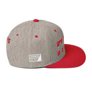 NELM SOCIETY SPLIT I Snapback Hat