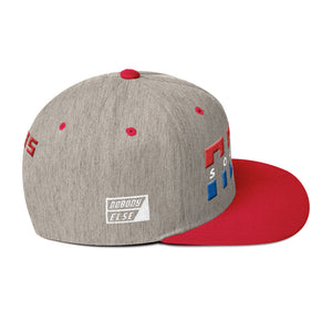 NELM SOCIETY SPLIT RWB Snapback Hat