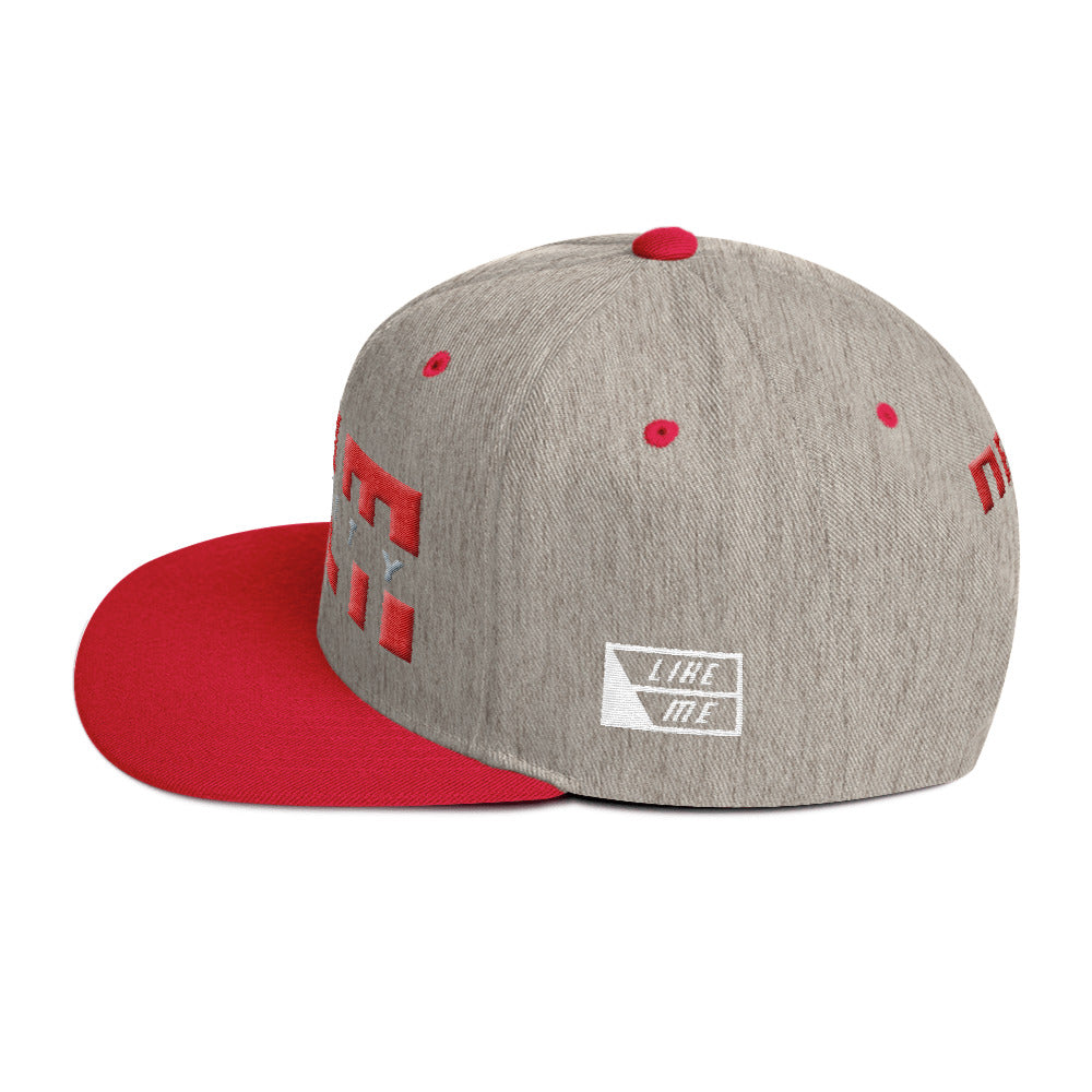 NELM SOCIETY SPLIT I Snapback Hat