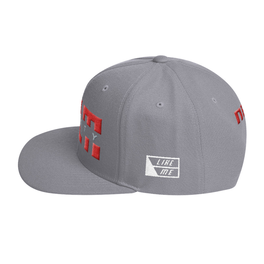 NELM SOCIETY SPLIT I Snapback Hat