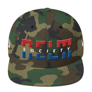 NELM SOCIETY SPLIT RWB Snapback Hat