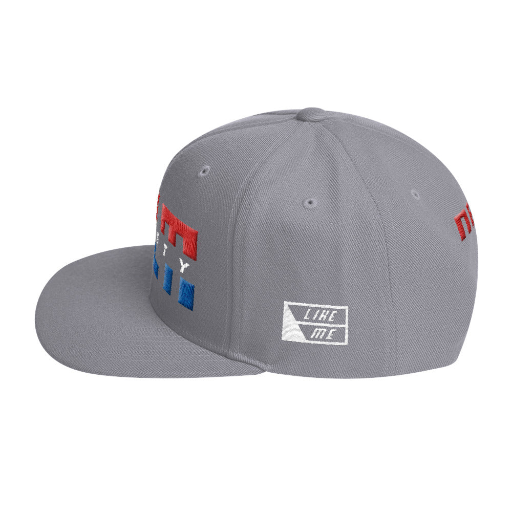 NELM SOCIETY SPLIT RWB Snapback Hat