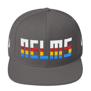 NELMS Color Stripes Snapback Hat