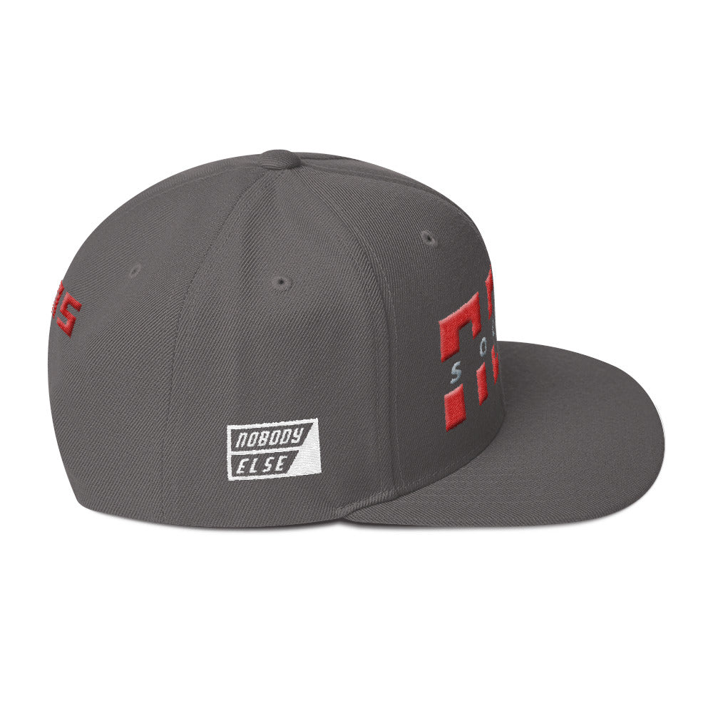 NELM SOCIETY SPLIT I Snapback Hat