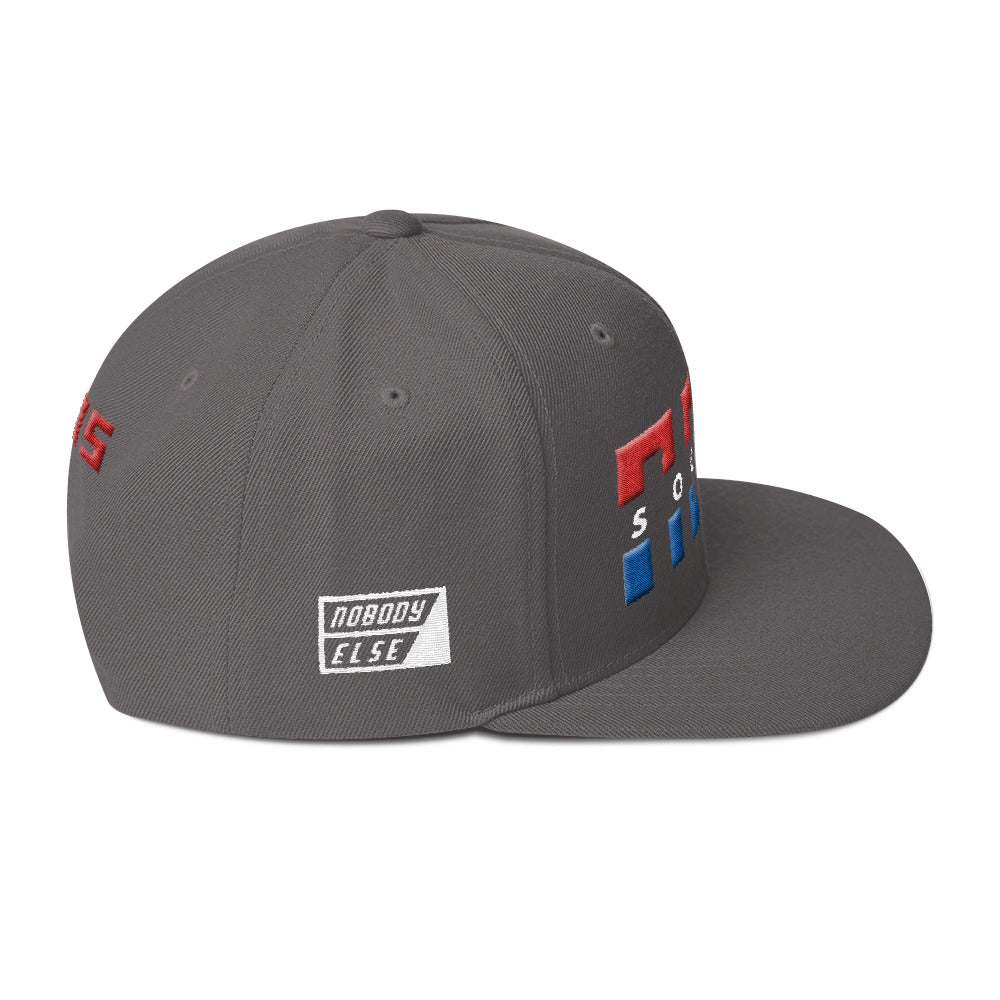 NELM SOCIETY SPLIT RWB Snapback Hat