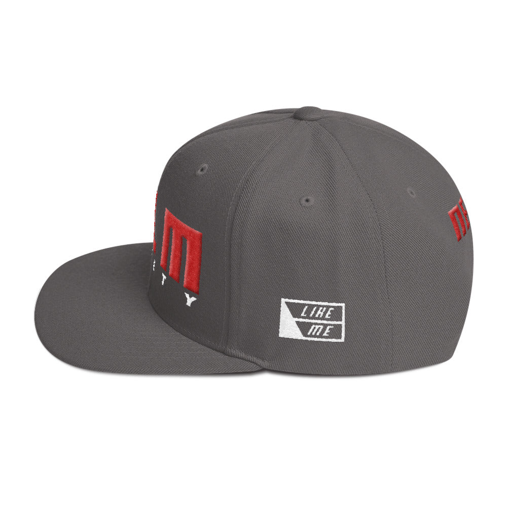 NELM SOCIETY RED Snapback Hat