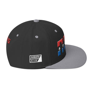 NELM SOCIETY SPLIT RWB Snapback Hat